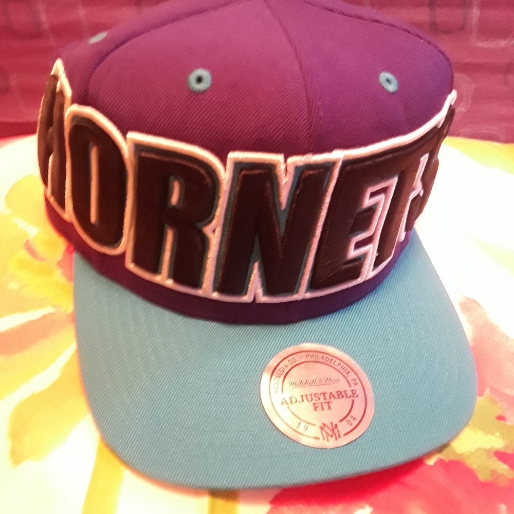 Charlotte Hornets snapback hat