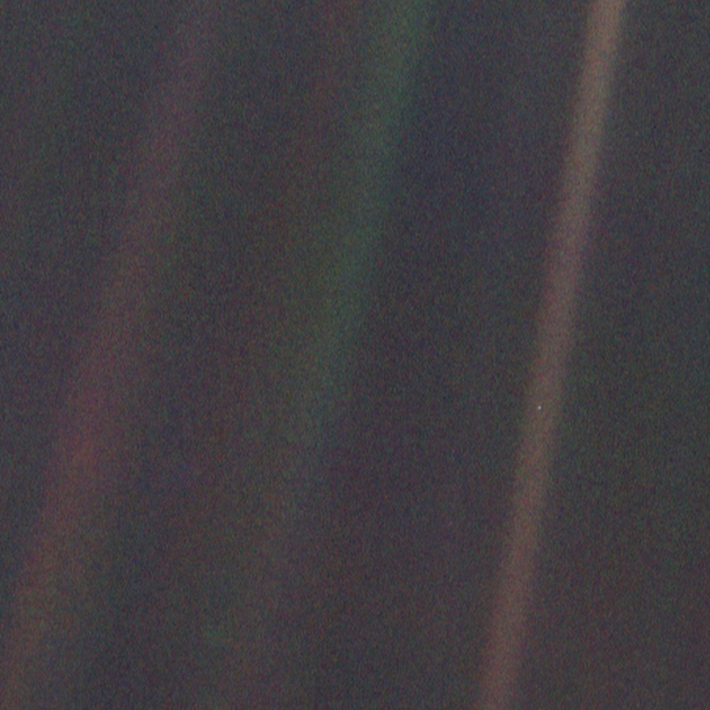 Meet your Posher, Marie