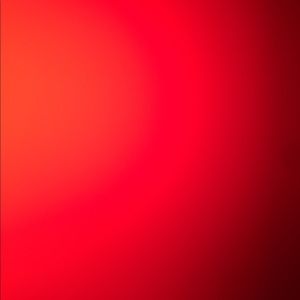 Meet your Posher, Paige