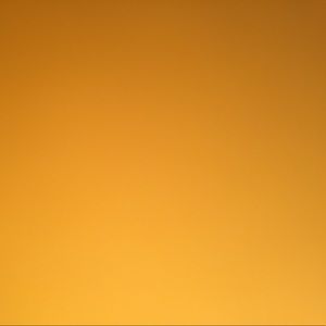 Meet your Posher, Shelby