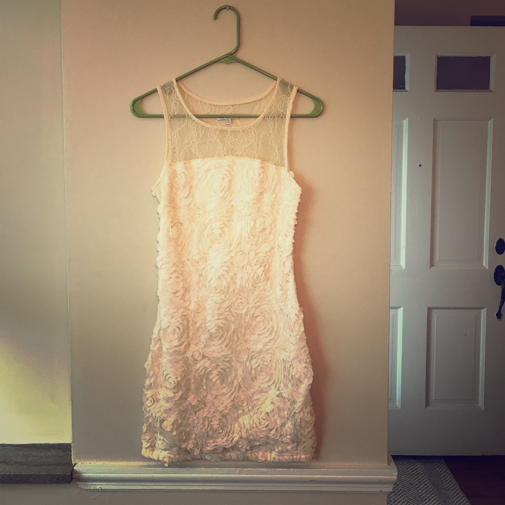 Floral and Lace Mini Dress