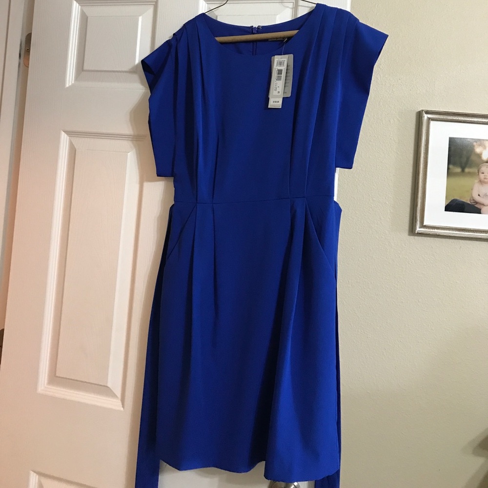 Eliza J Blue ruffle sleeve sheath dress