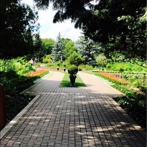 Meet your Posher, Vidya