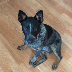 Meet your Posher, Tina