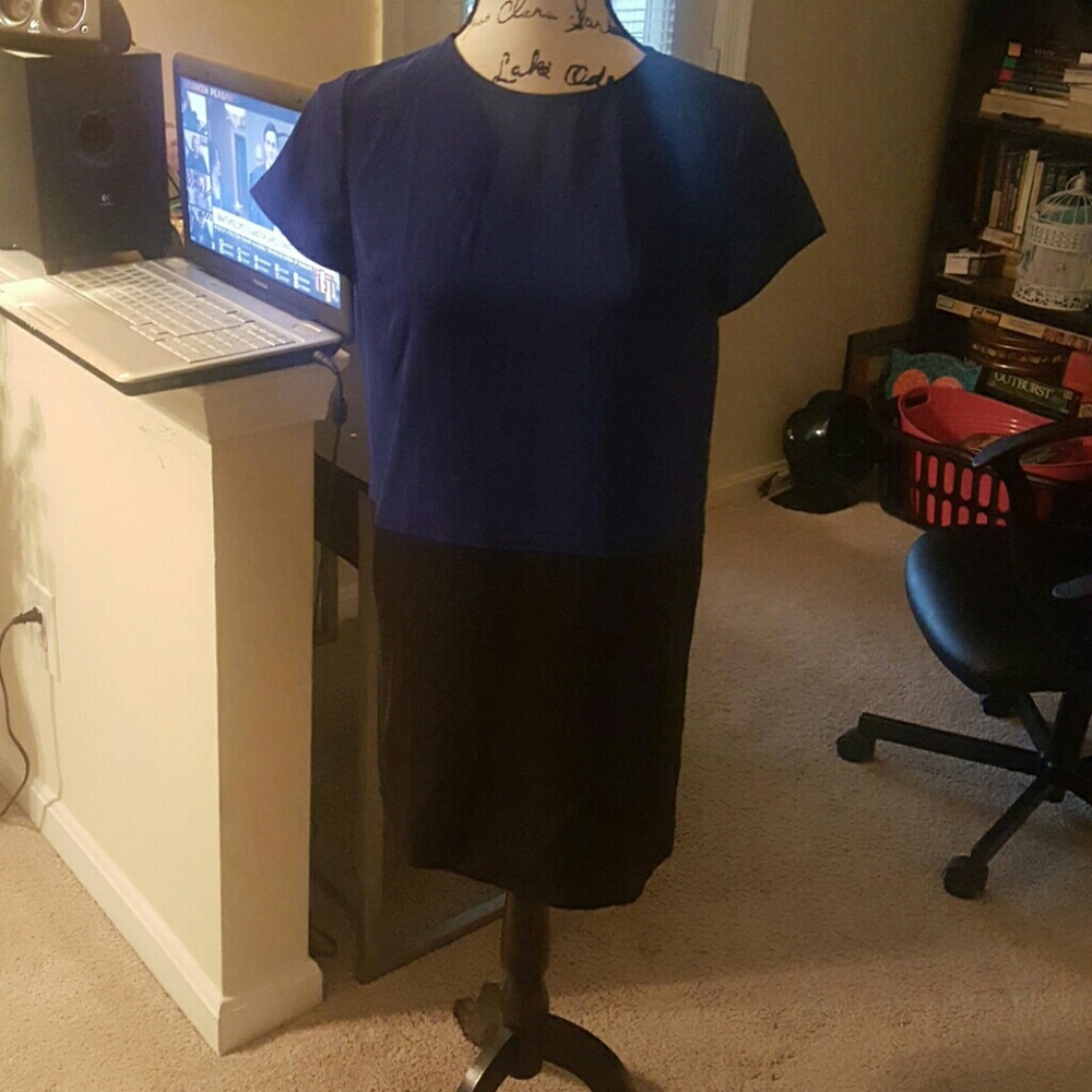 Blue & Black Shift Dress