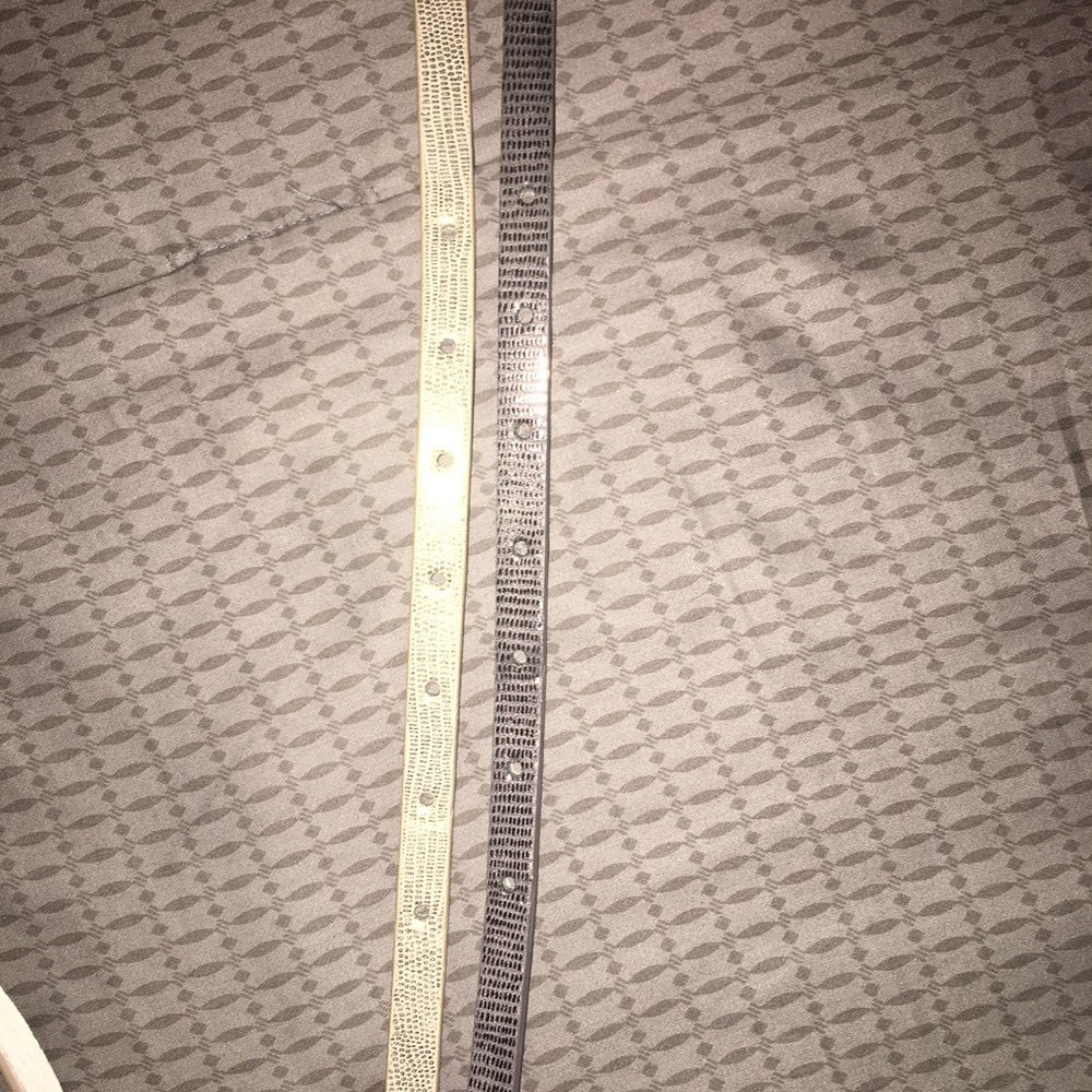 American Eagle Metallic belt set