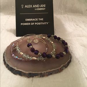 Alex & Ani (+)Energy Bangles