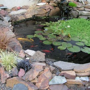 Meet your Posher, Johnette