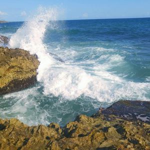 Meet your Posher, Warren