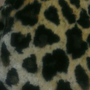 Meet your Posher, Trinidad