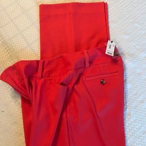Dress pants
