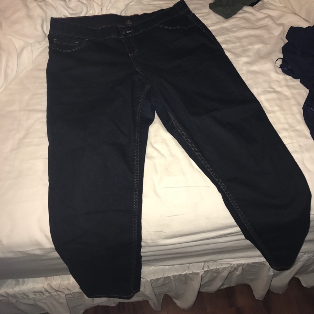 Lane Bryant, dark denim jegging