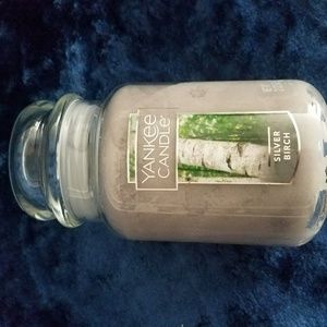Lowest Price - Largest Yankee candle silver birch