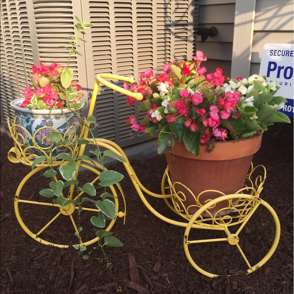 Meet your Posher, Wendy