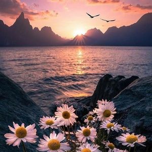 Meet your Posher, Silvia