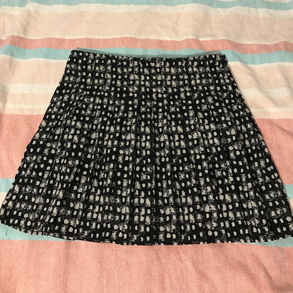 Pleated Skirt