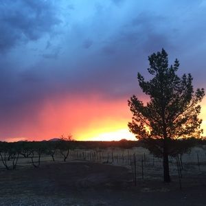 Meet your Posher, Gunilla