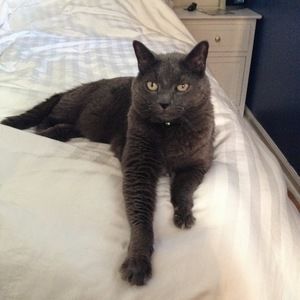 Meet your Posher, Jessica p.