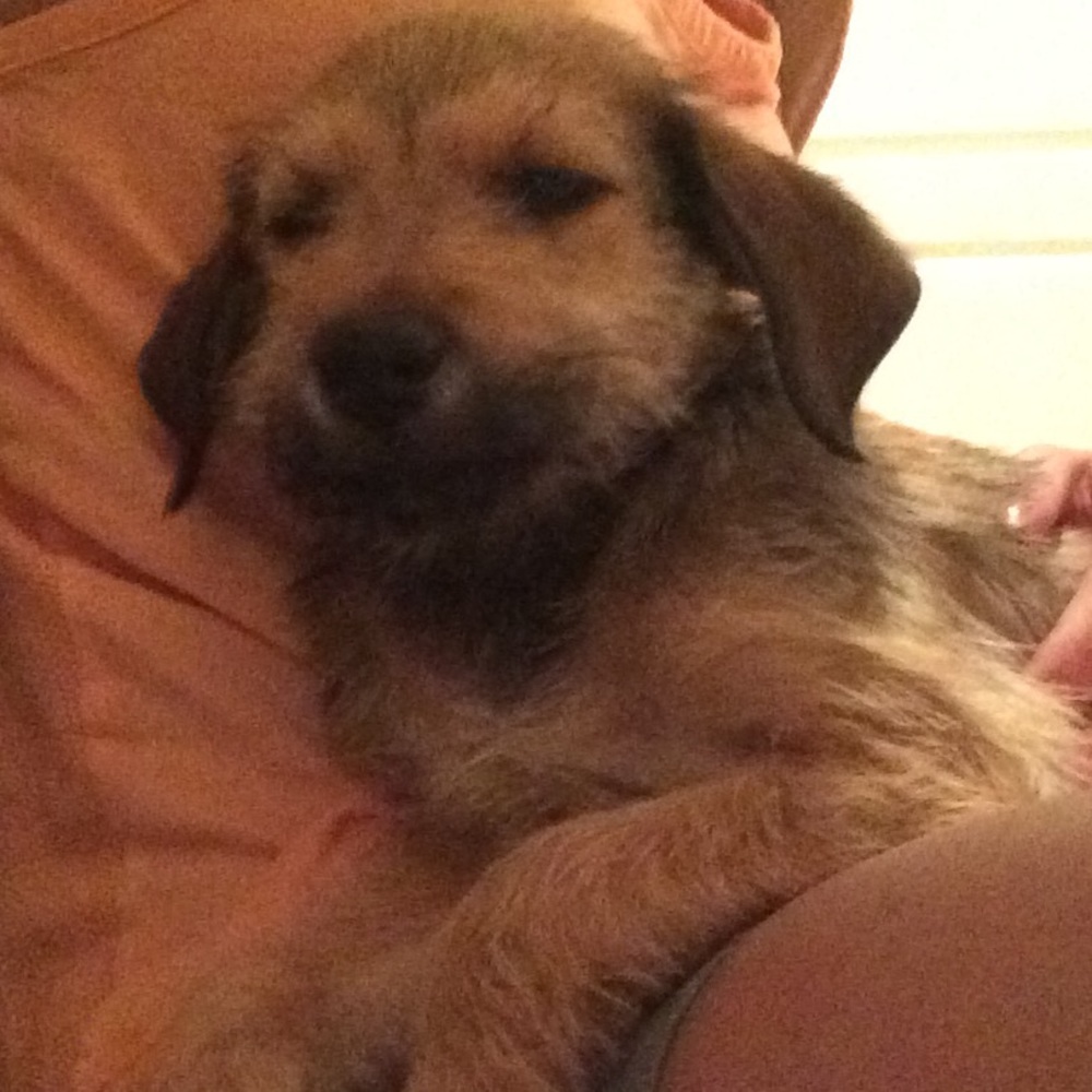 Meet your Posher, D