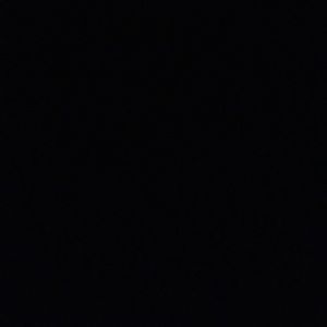 Meet your Posher, Jayla