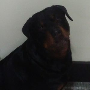 Meet your Posher, Kenneth