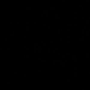 Meet your Posher, Paloma