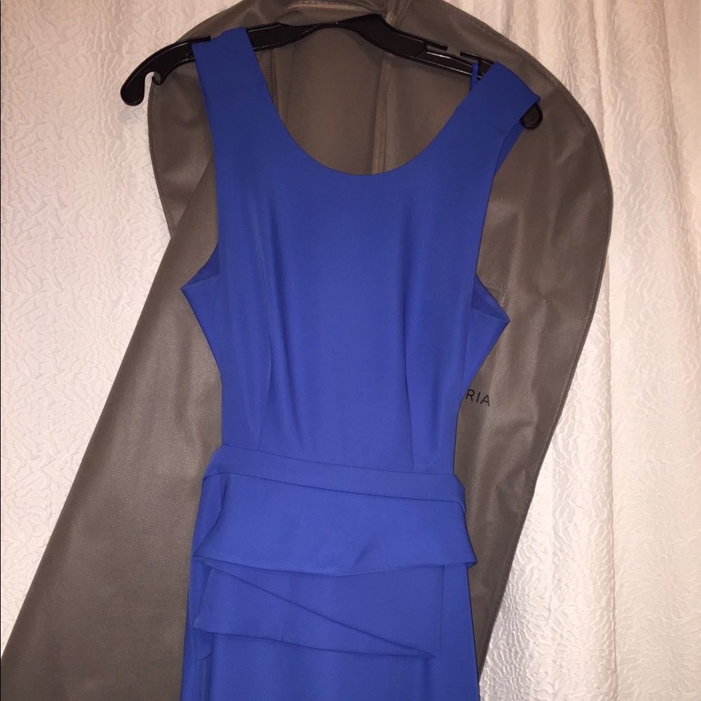 BCBG Dress
