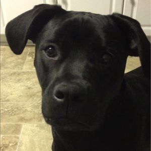 Meet your Posher, Kate