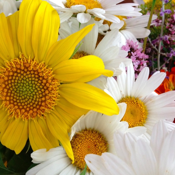 Meet your Posher, Rhonda - Picture 4 of 8