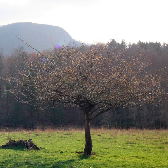 Meet your Posher, Rhonda - Picture 8 of 8