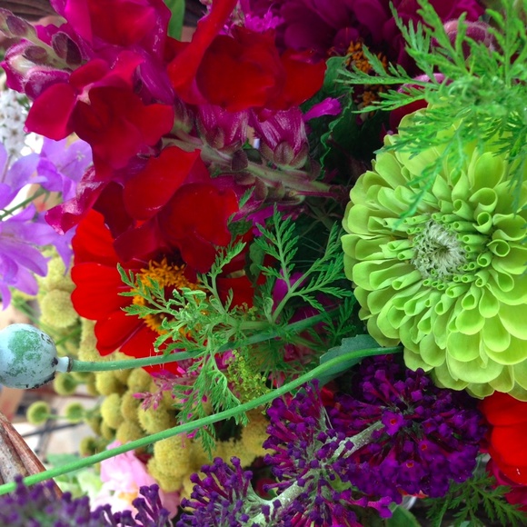 Meet your Posher, Rhonda - Picture 3 of 8