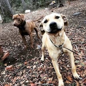 Meet your Posher, Fred