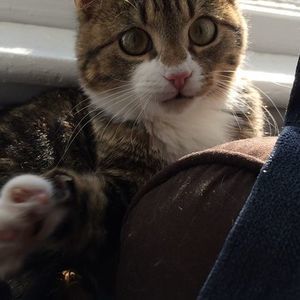 Meet your Posher, Amy