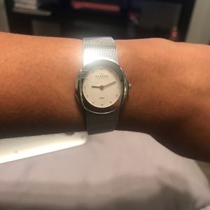 Silver Skagen Watch