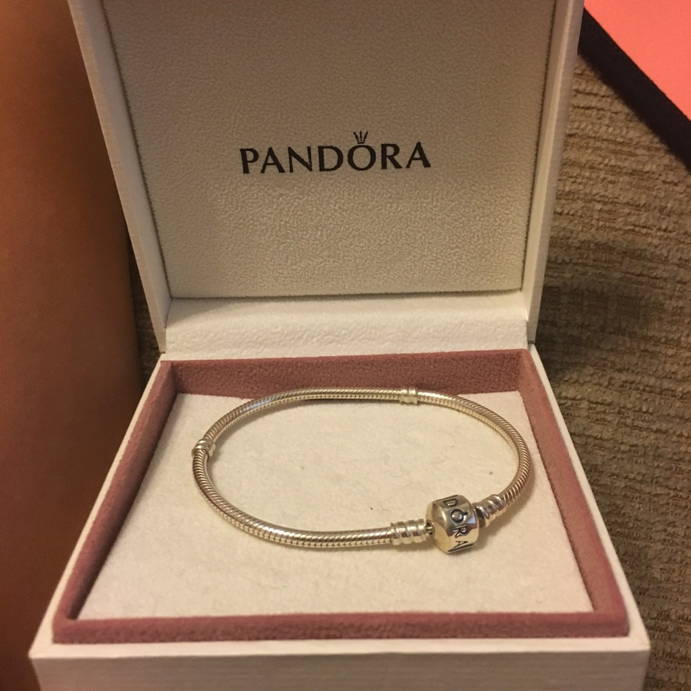 Pandora charm bracelet