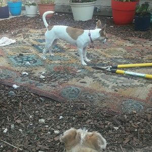 Meet your Posher, Johnna