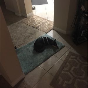 Meet your Posher, Barbara