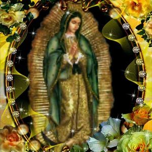 Meet your Posher, María