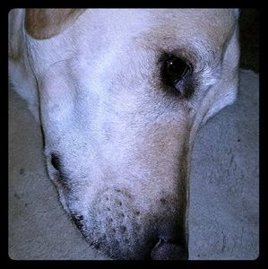 Meet your Posher, Justin