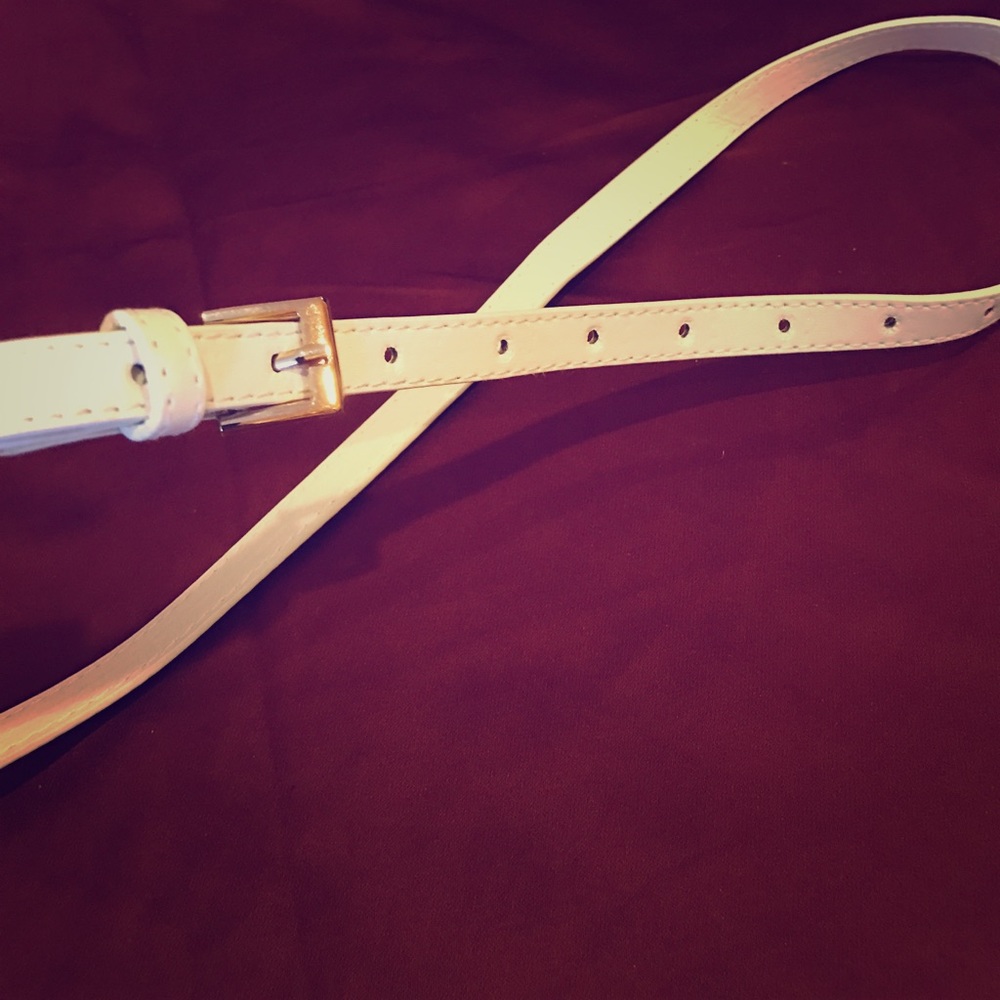 Thin Belt