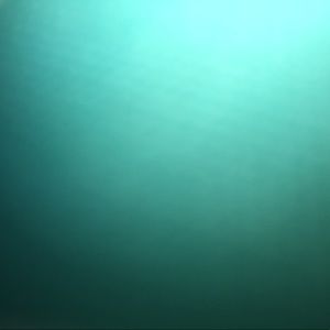 Meet your Posher, Korynne