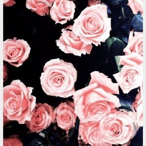 Meet your Posher, Cam