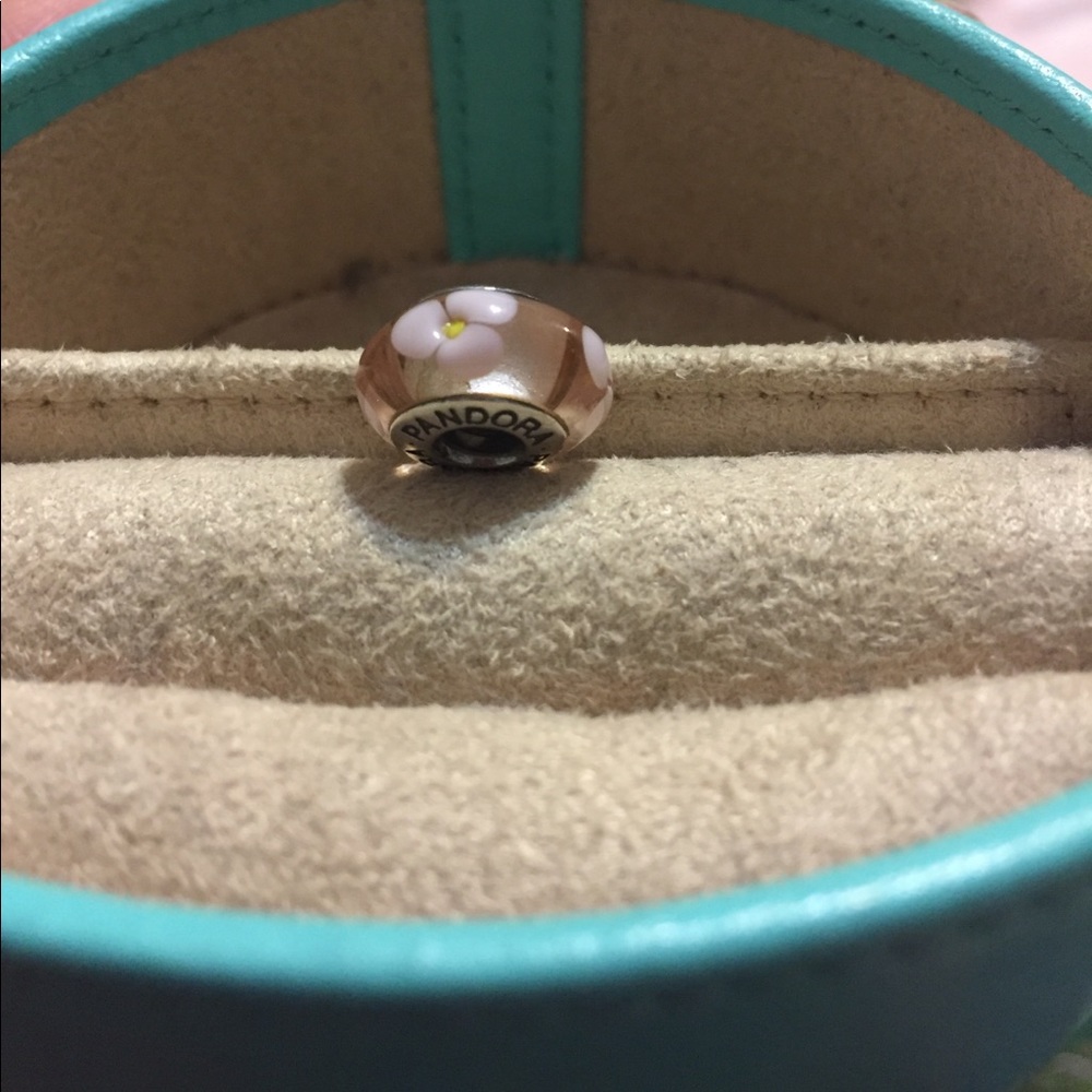 Pandora glass bead
