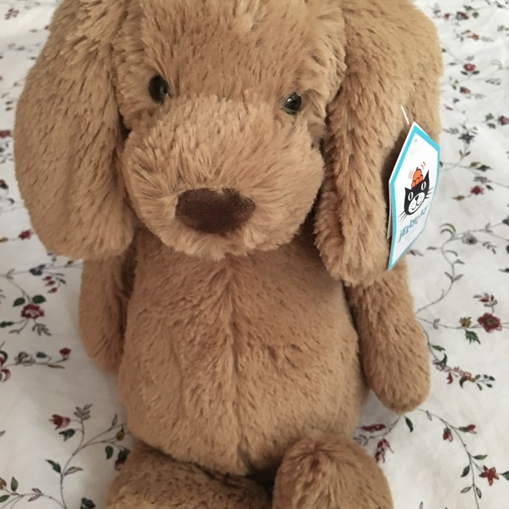 Brand New Medium Bashful Toffee Puppy
