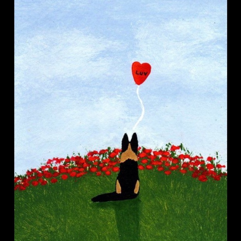 Meet your Posher, Dawn