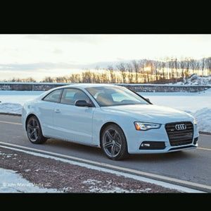 Meet your Posher, Troy