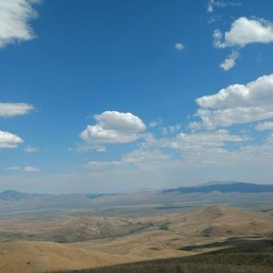 Meet your Posher, Alyce