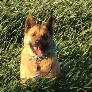 Meet your Posher, Kimberlee