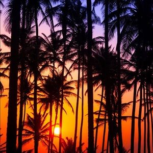 Meet your Posher, Leslie