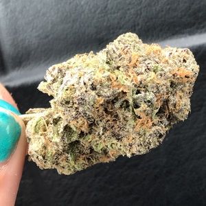 Meet your Posher, Eli